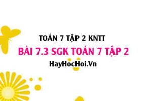 Bài 7.3 SGK Toán 7 tập 2 Kết nối tri thức